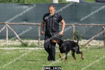 IMG_1925.jpg