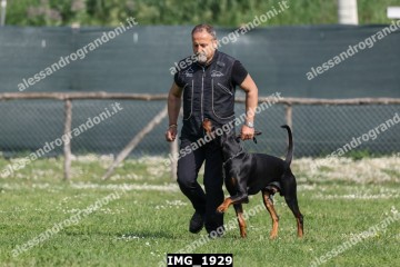 IMG_1929.jpg