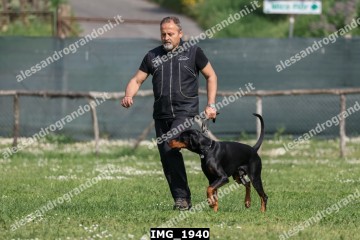 IMG_1940.jpg