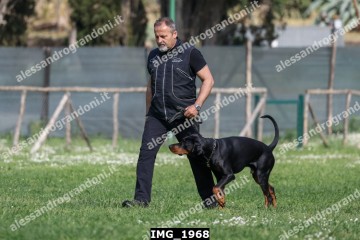 IMG_1968.jpg