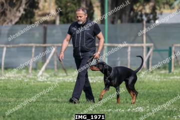 IMG_1971.jpg