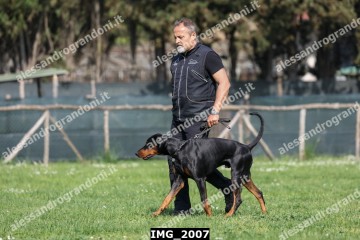 IMG_2007.jpg