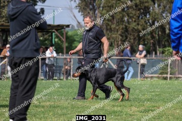 IMG_2031.jpg