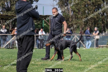 IMG_2034.jpg