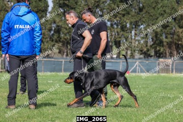 IMG_2065.jpg