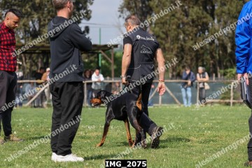 IMG_2075.jpg