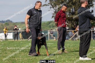 IMG_2085.jpg