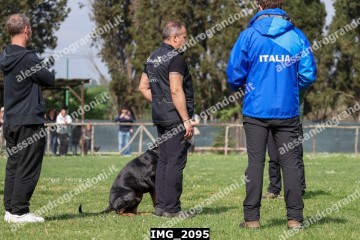 IMG_2095.jpg