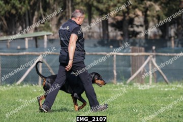 IMG_2107.jpg