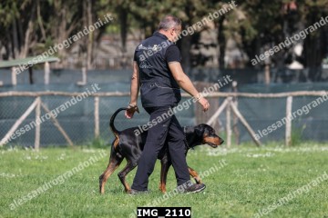 IMG_2110.jpg