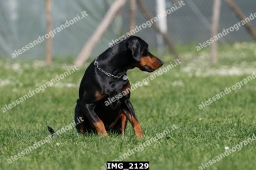 IMG_2129.jpg