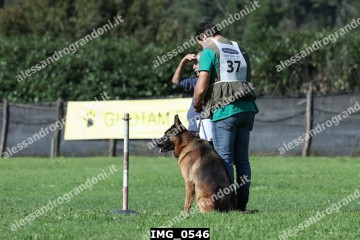 IMG_0546.jpg