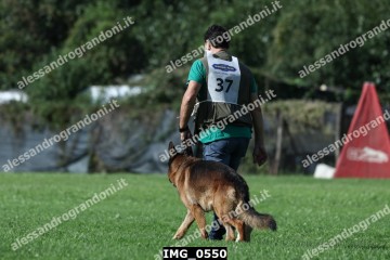 IMG_0550.jpg