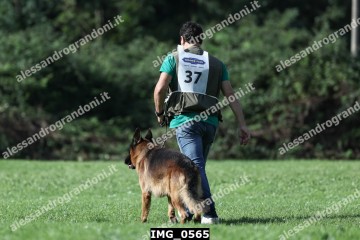 IMG_0565.jpg