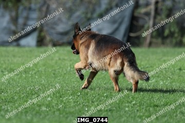 IMG_0744.jpg