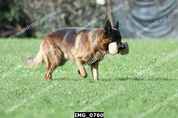 IMG_0760.jpg