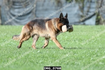 IMG_0768.jpg