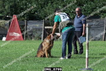 IMG_0799.jpg