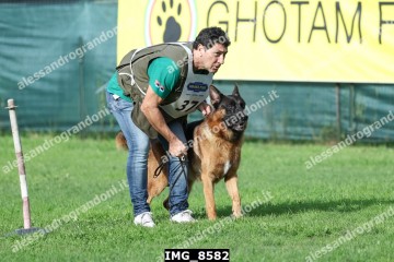 IMG_8582.jpg