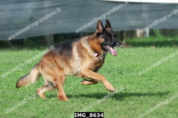 IMG_8634.jpg