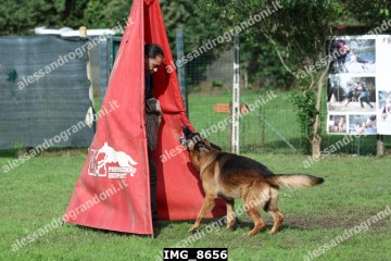 IMG_8656.jpg