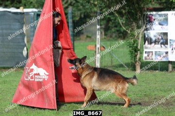 IMG_8667.jpg