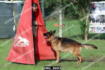 IMG_8693.jpg