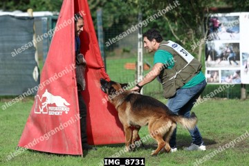 IMG_8731.jpg