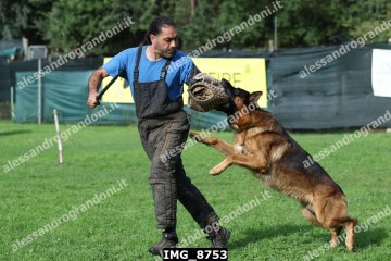 IMG_8753.jpg