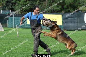 IMG_8754.jpg