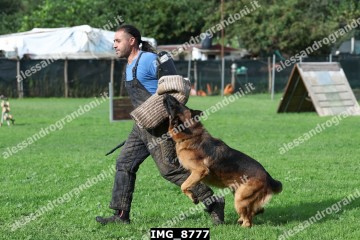 IMG_8777.jpg