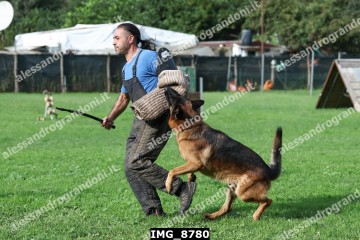 IMG_8780.jpg