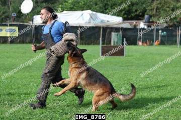 IMG_8786.jpg