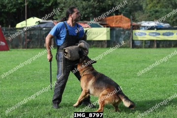IMG_8797.jpg