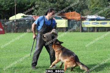IMG_8806.jpg
