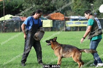 IMG_8855.jpg
