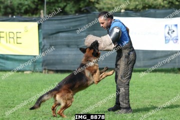 IMG_8878.jpg