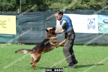 IMG_8880.jpg