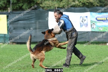 IMG_8883.jpg