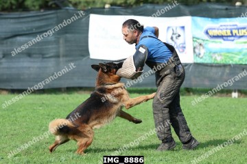 IMG_8886.jpg