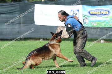 IMG_8889.jpg