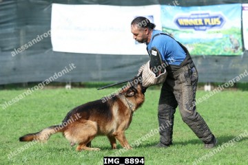IMG_8894.jpg