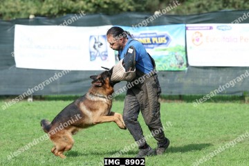 IMG_8902.jpg