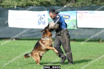 IMG_8905.jpg