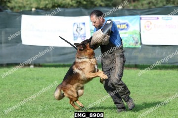 IMG_8908.jpg