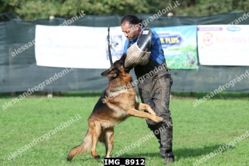 IMG_8912.jpg