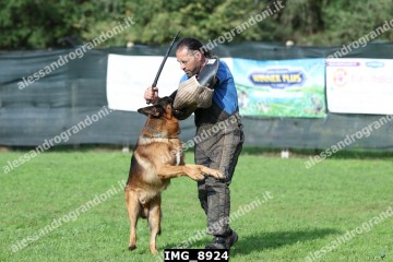 IMG_8924.jpg