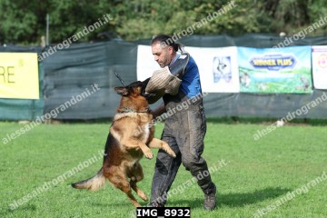 IMG_8932.jpg