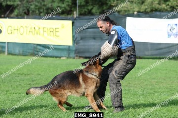 IMG_8941.jpg