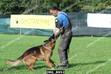 IMG_8952.jpg